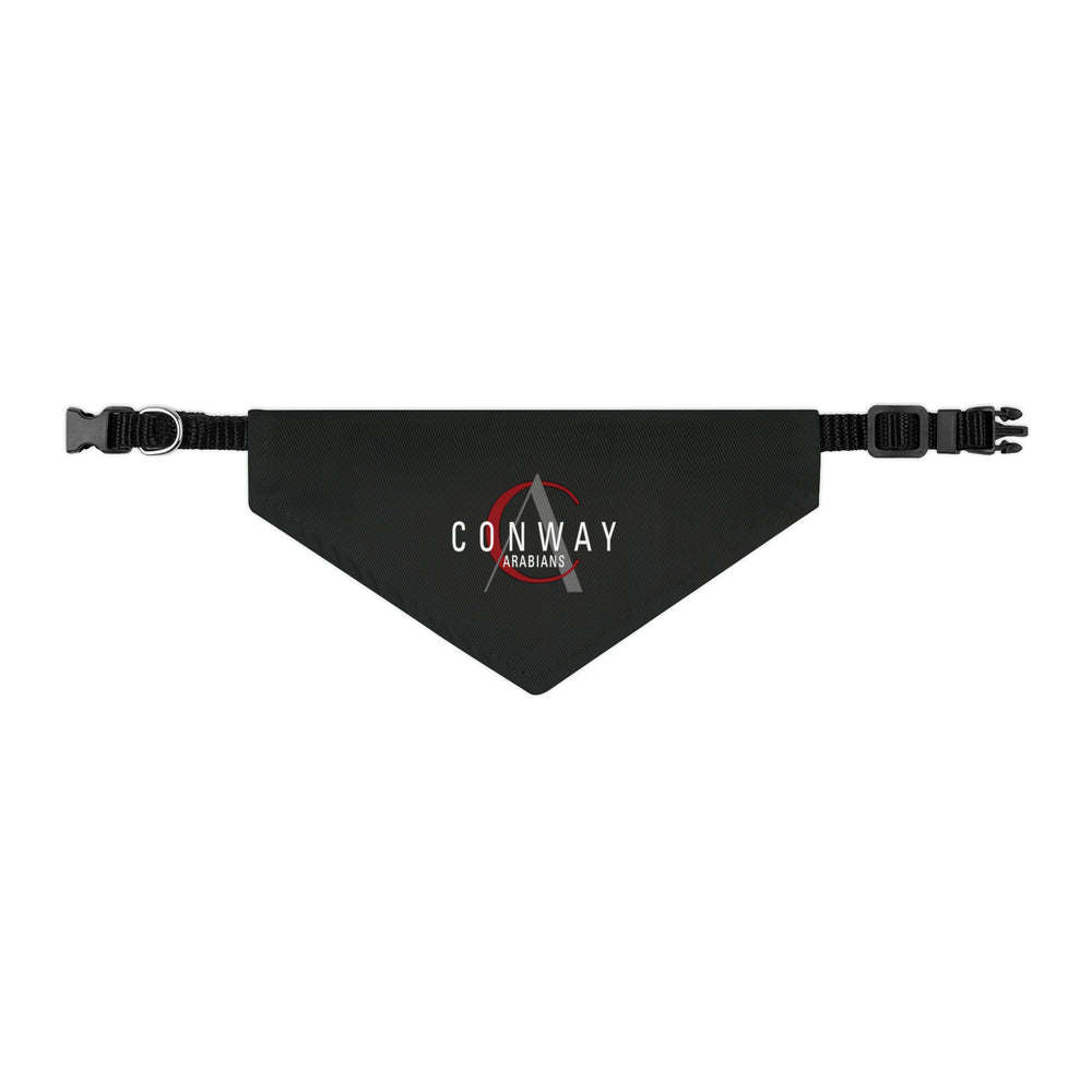 
                  
                    Bandana Collar
                  
                