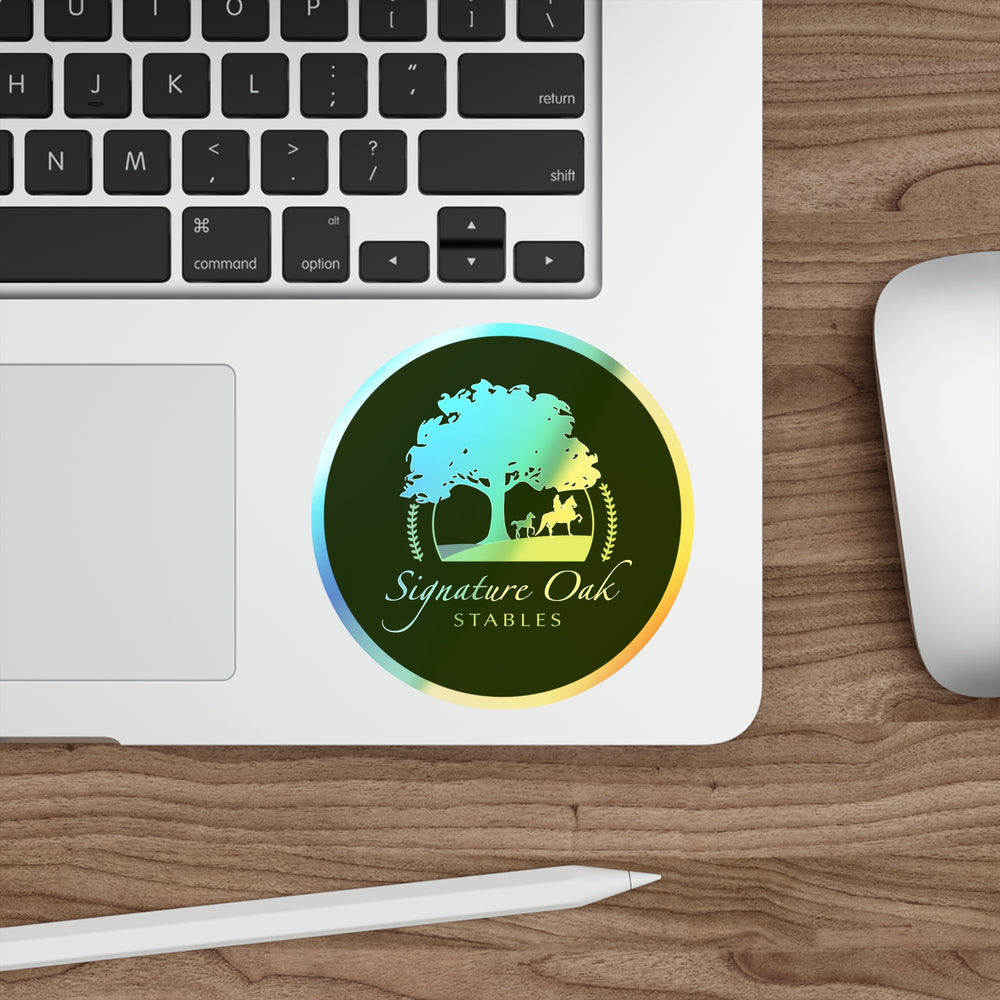 
                  
                    Holographic Sticker 4"
                  
                