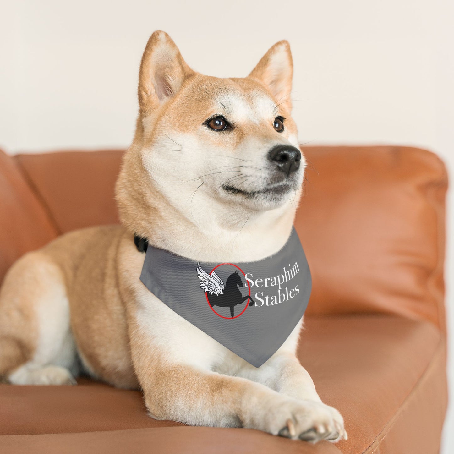 Dog Bandana with Collar