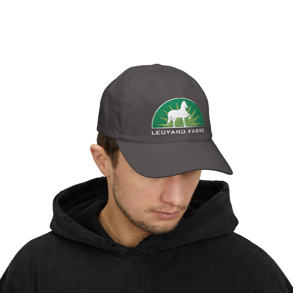 
                  
                    Embroidered Premium Hat
                  
                
