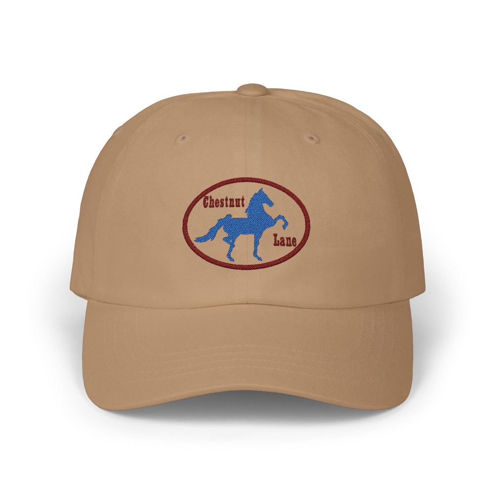 
                  
                    Embroidered Premium Hat
                  
                