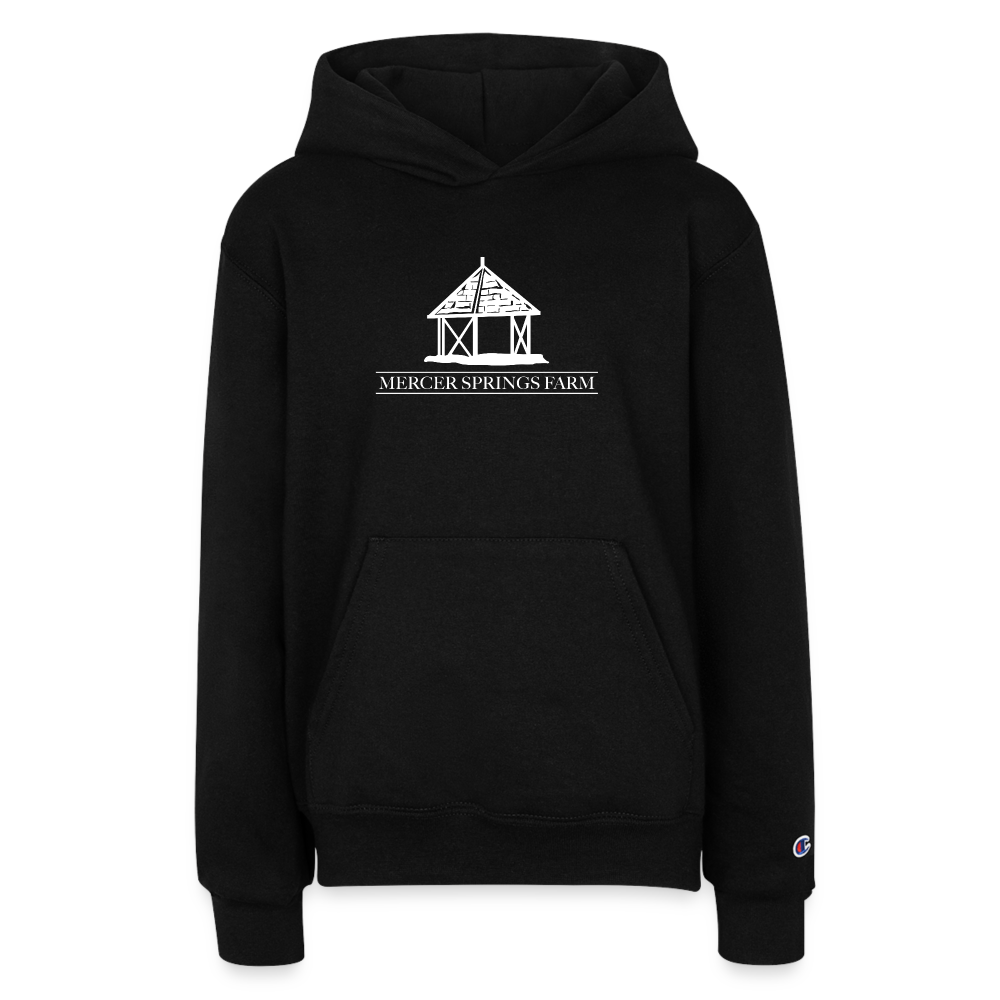 
                  
                    Champion Youth Hoodie - black
                  
                