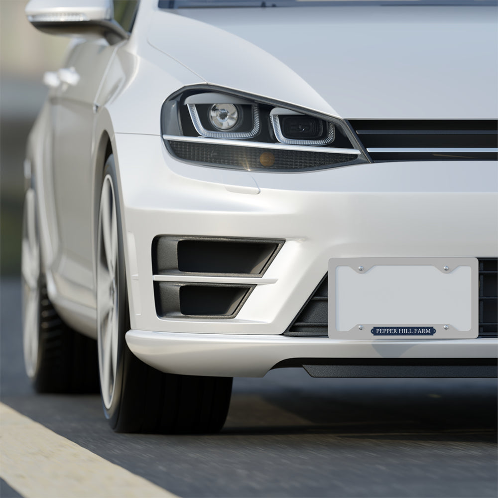 
                  
                    Metal License Plate Frame
                  
                