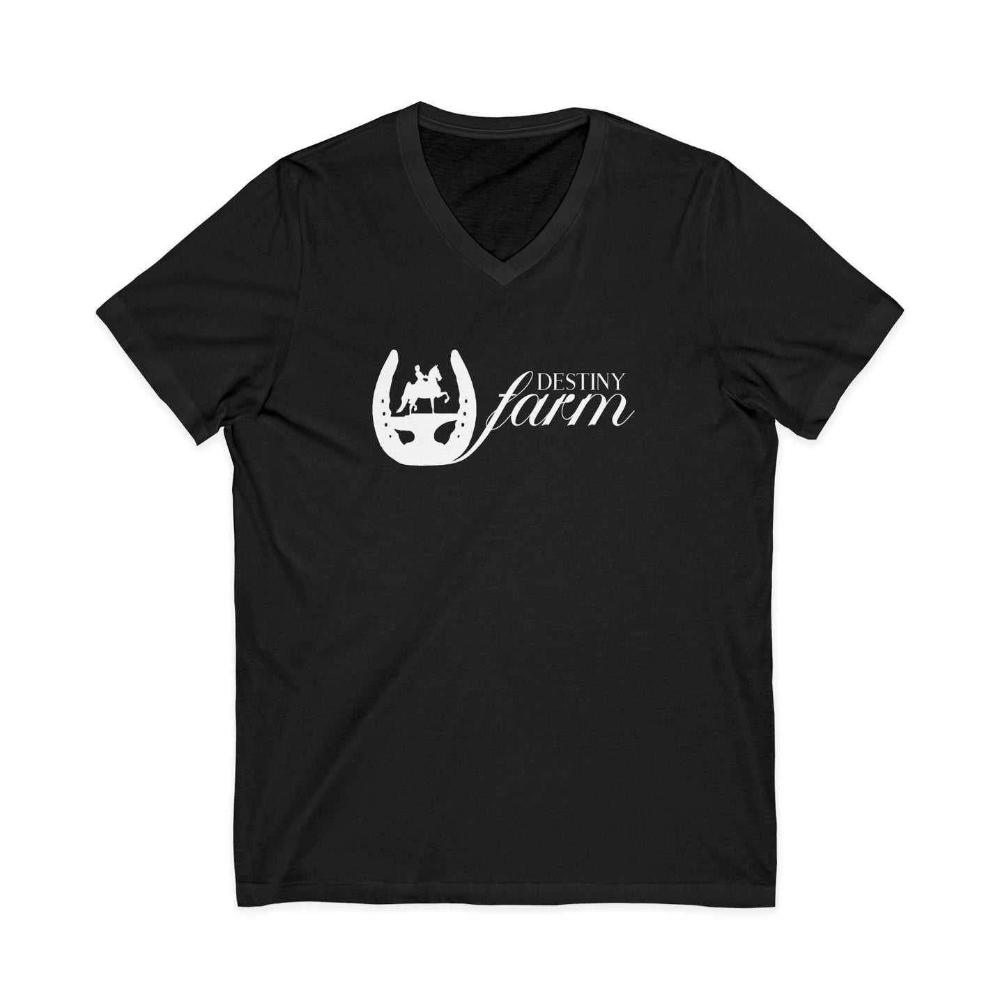 Premium Ladies V-Neck Tee