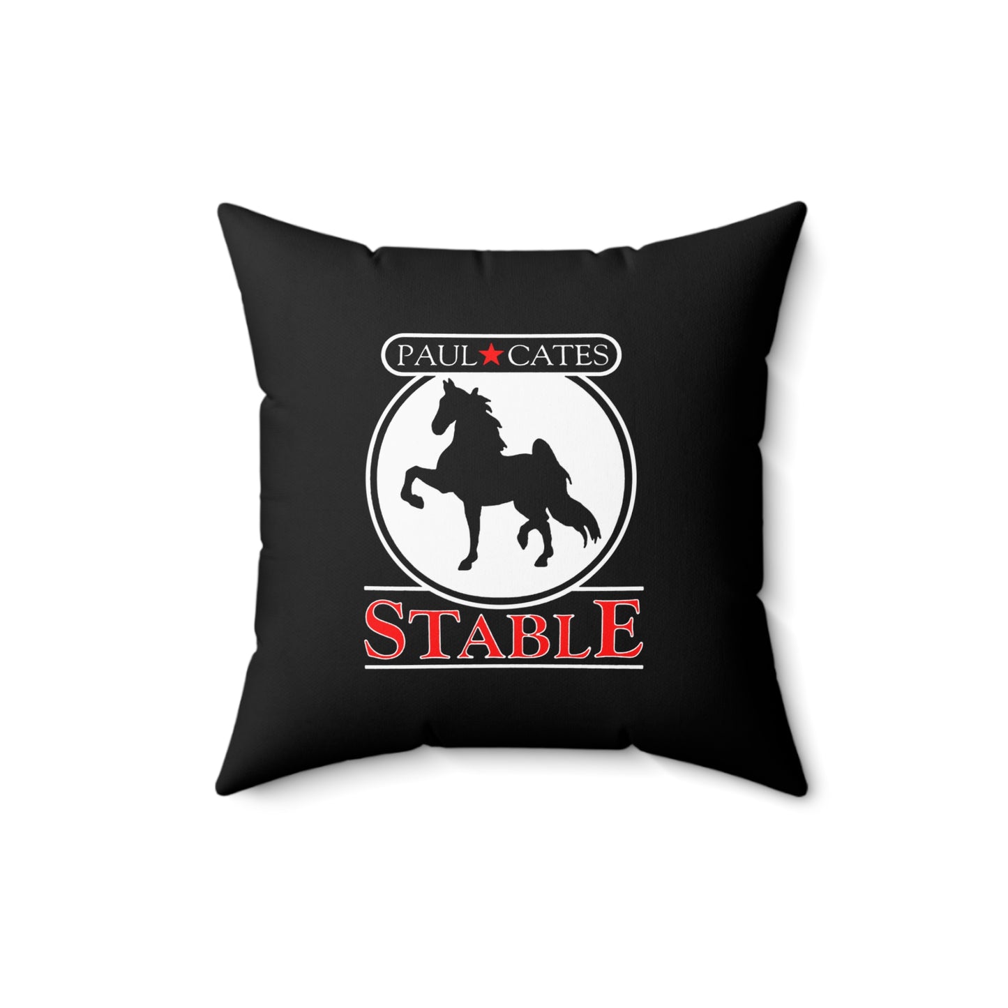 Decorative Pillow