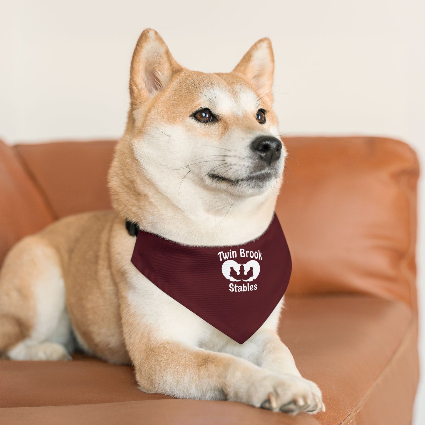 Dog Bandana with Collar
