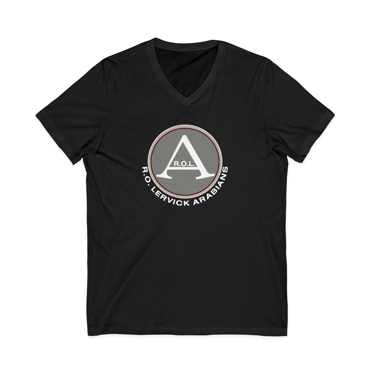 Premium Ladies V-Neck Tee