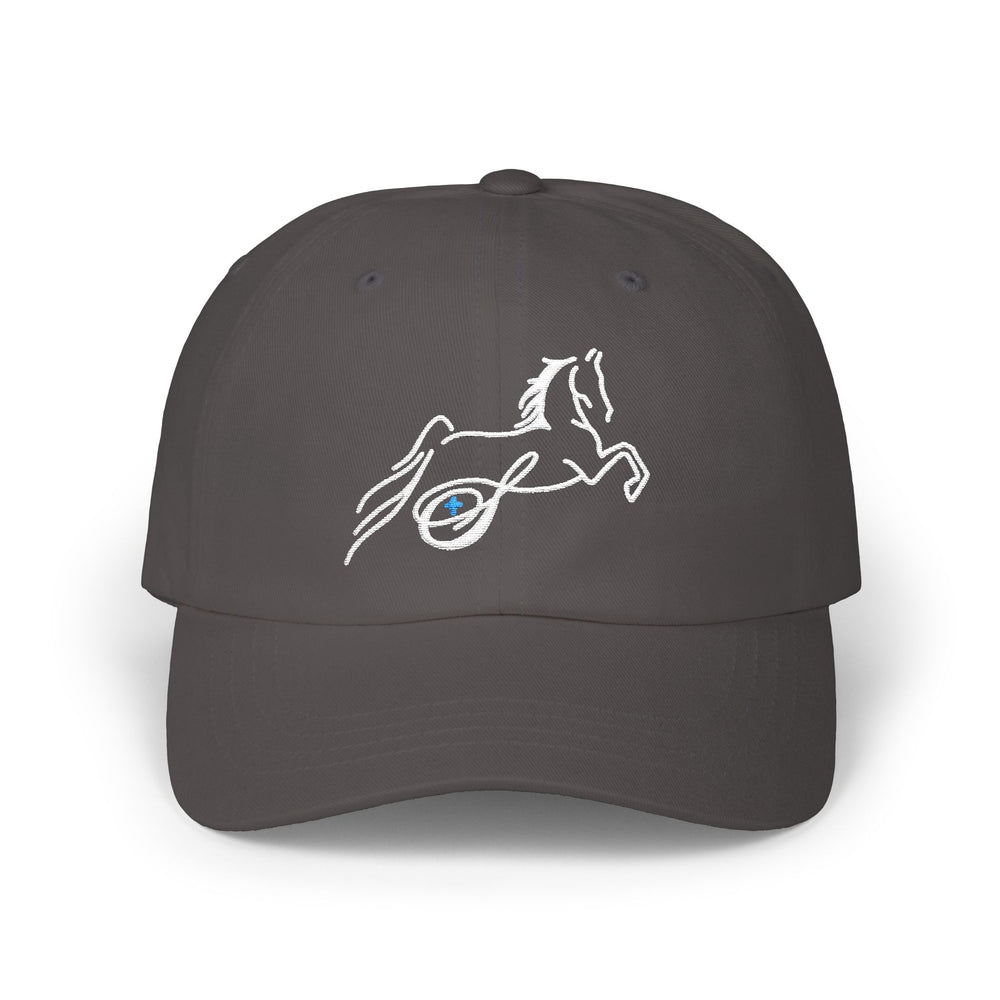 
                  
                    Embroidered Premium Hat
                  
                