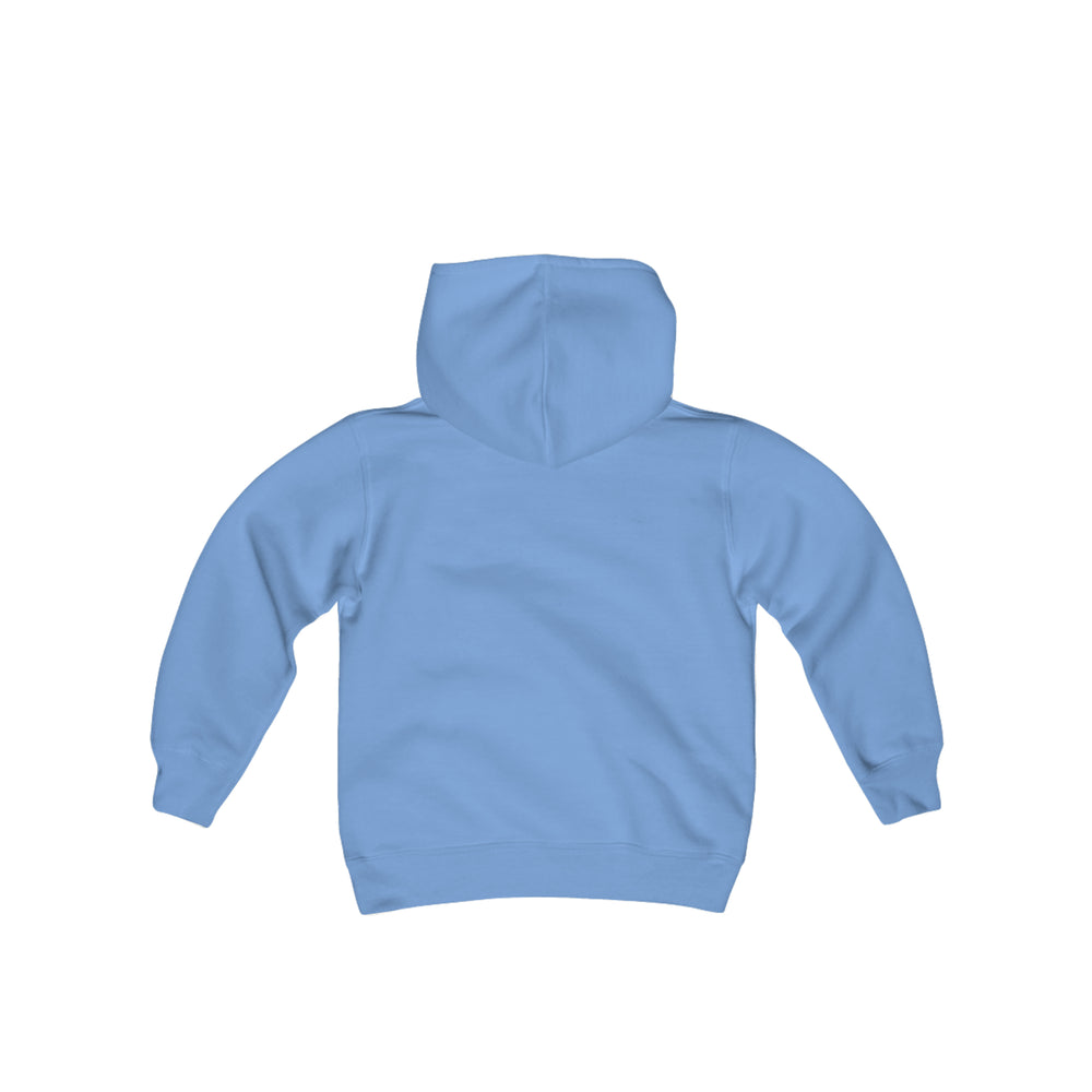 
                  
                    AMHA Youth Hoodie
                  
                