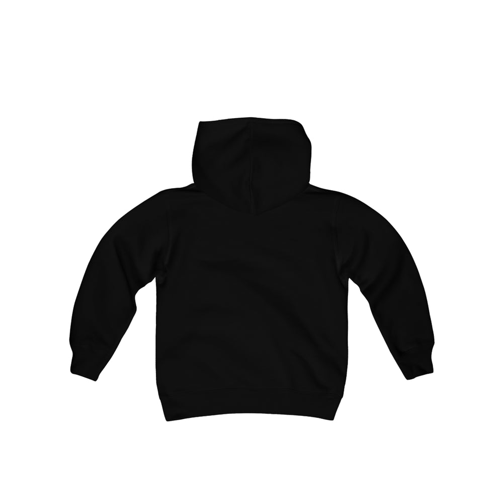 
                  
                    AMHA Youth Hoodie
                  
                