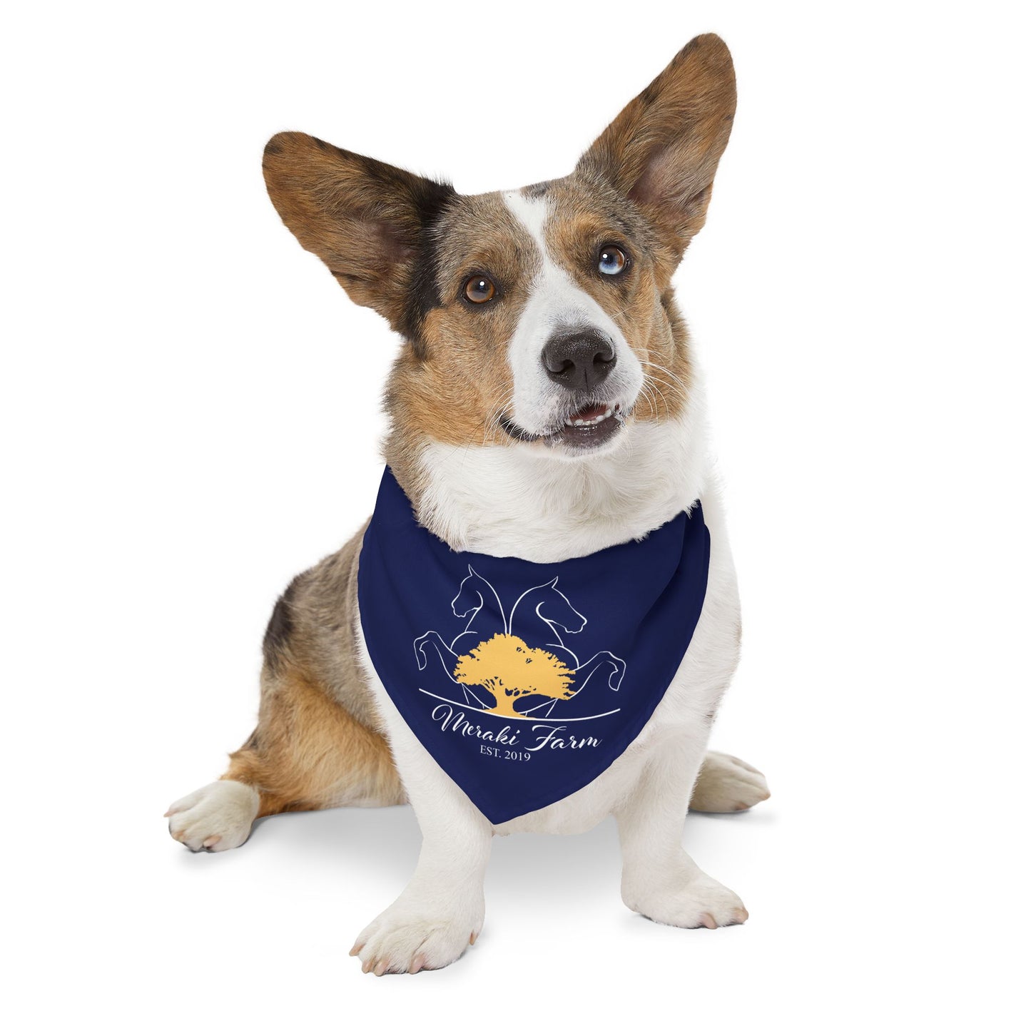 Dog Bandana with Collar