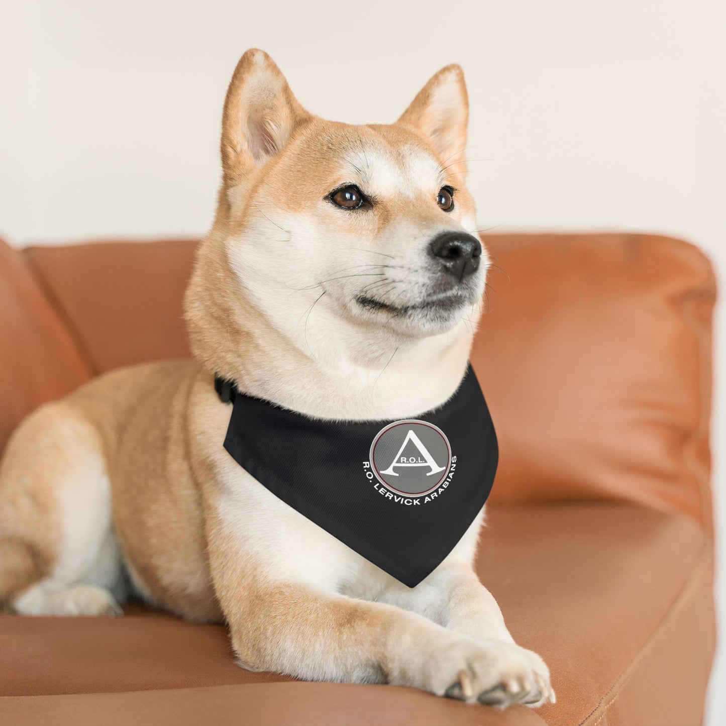 Dog Bandana with Collar
