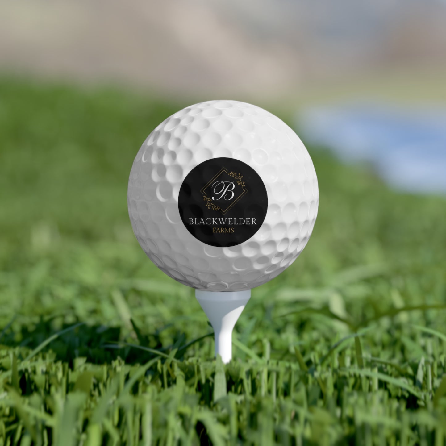 Golf Balls - 6 Pack