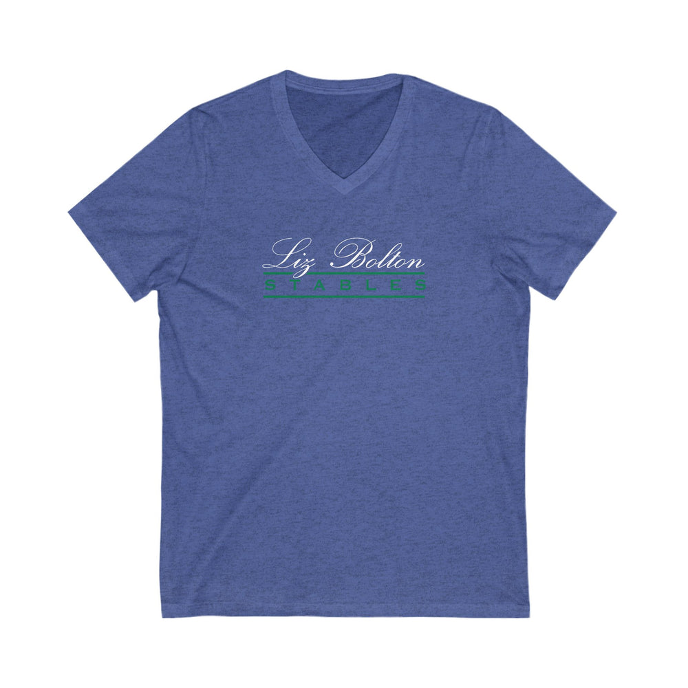 
                  
                    Premium Ladies V-Neck Tee
                  
                