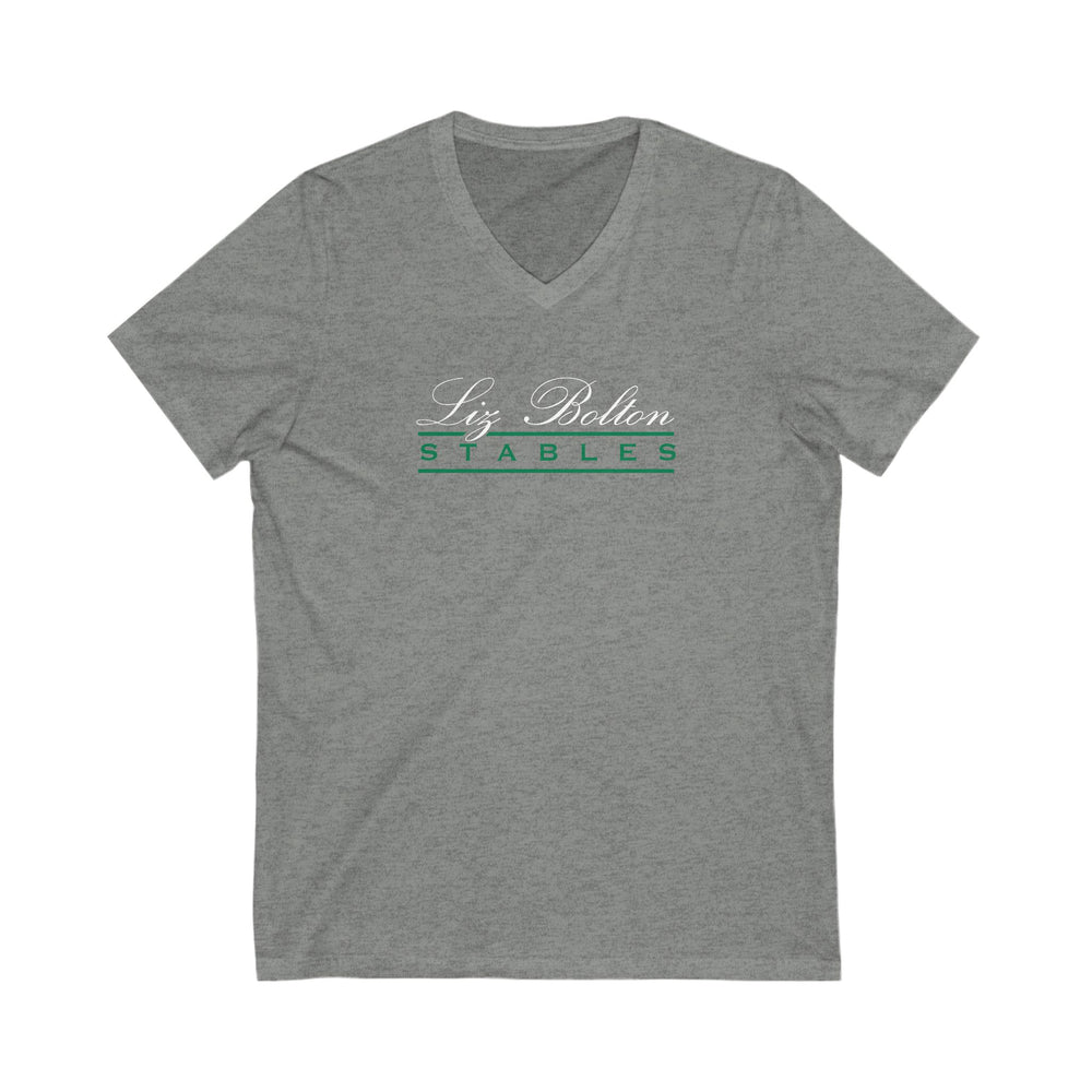 
                  
                    Premium Ladies V-Neck Tee
                  
                