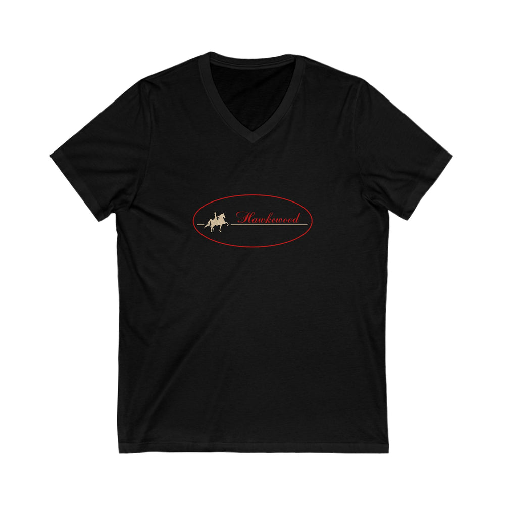 Premium Ladies V-Neck Tee