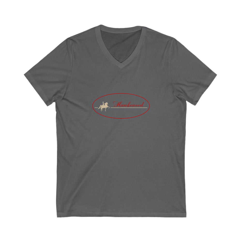 
                  
                    Premium Ladies V-Neck Tee
                  
                