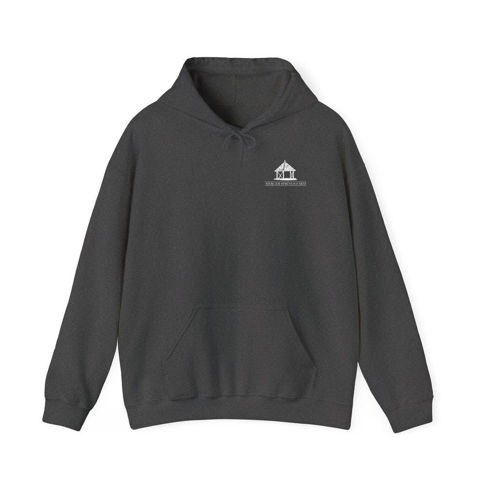 
                  
                    Unisex Heavy Blend™ Hoodie
                  
                