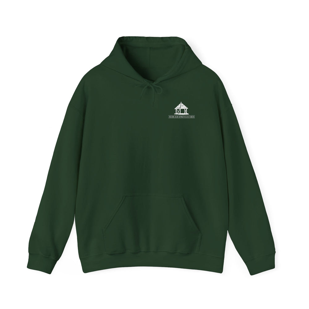 
                  
                    Unisex Heavy Blend™ Hoodie
                  
                