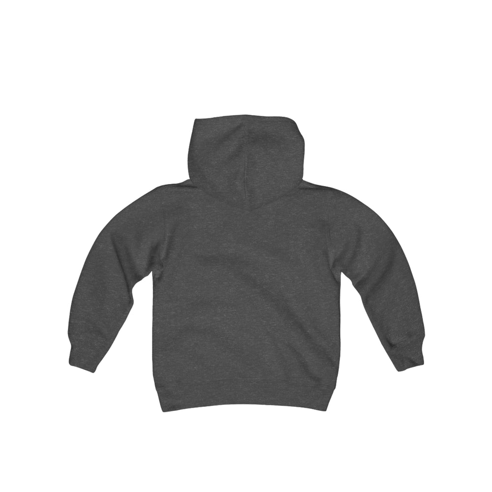 
                  
                    AMHA Youth Hoodie
                  
                