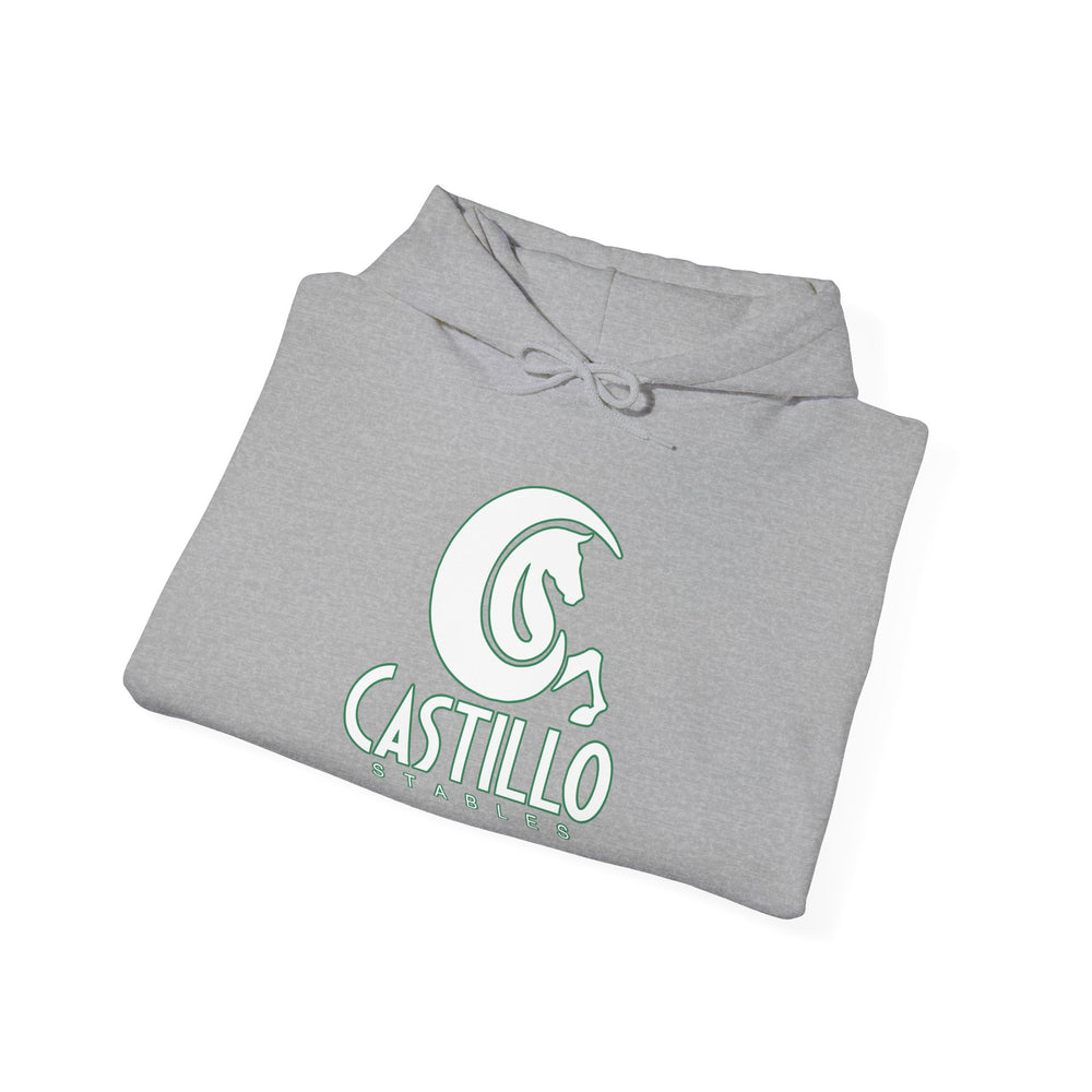 
                  
                    Unisex Heavy Blend™ Hoodie
                  
                
