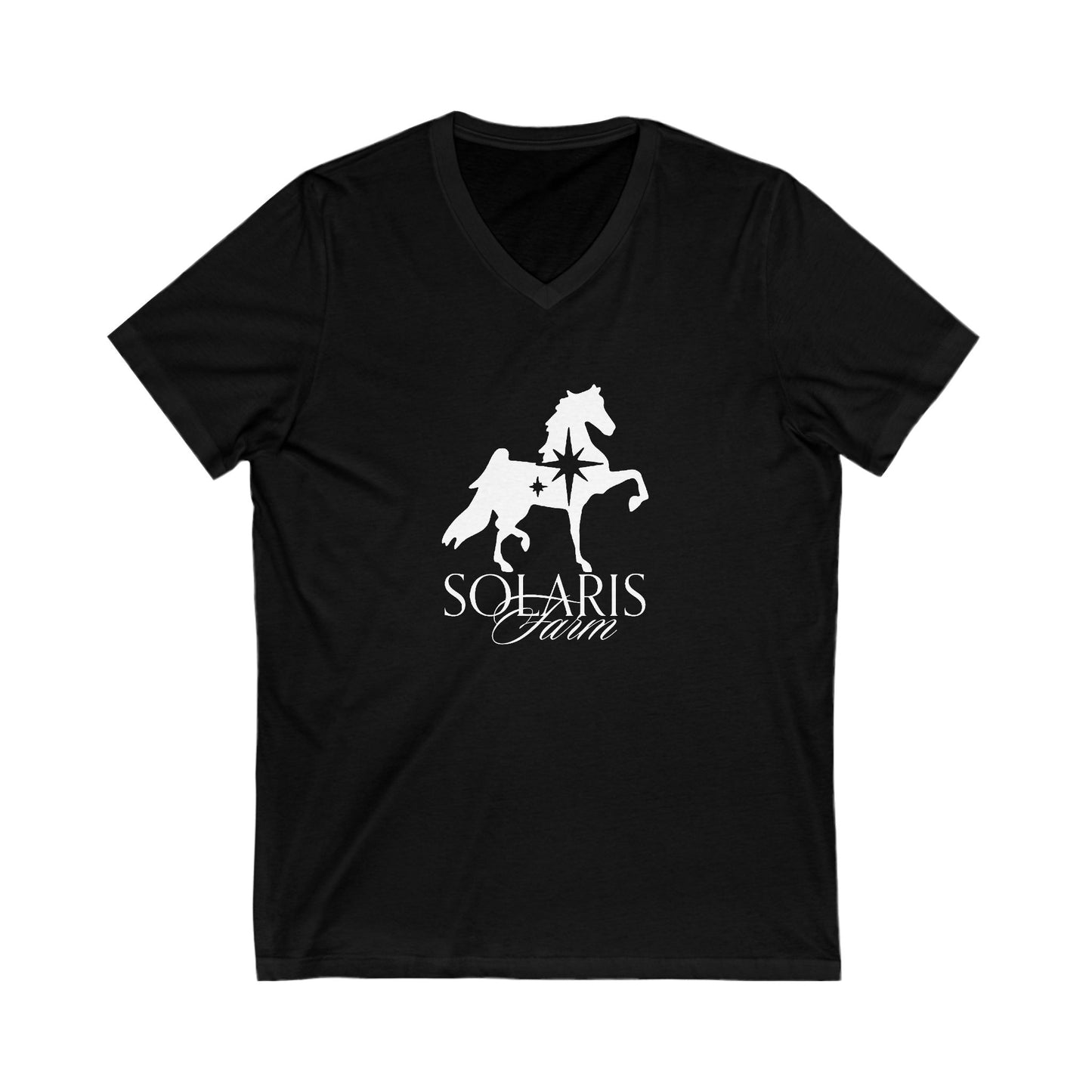Premium Ladies V-Neck Tee