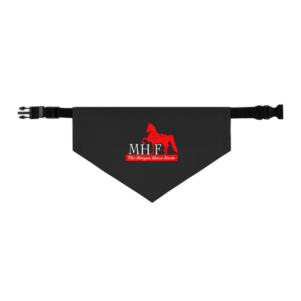 
                  
                    Dog Bandana with Collar
                  
                