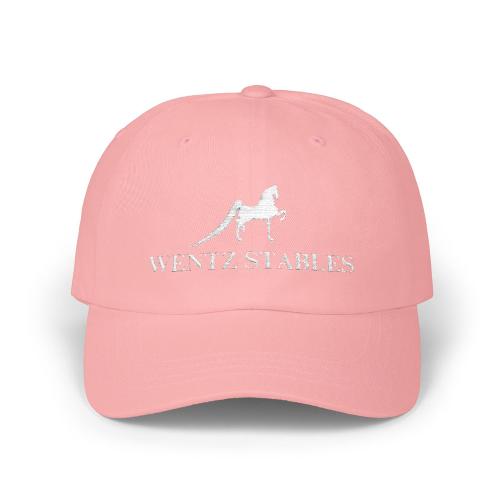 
                  
                    Embroidered Premium Hat
                  
                