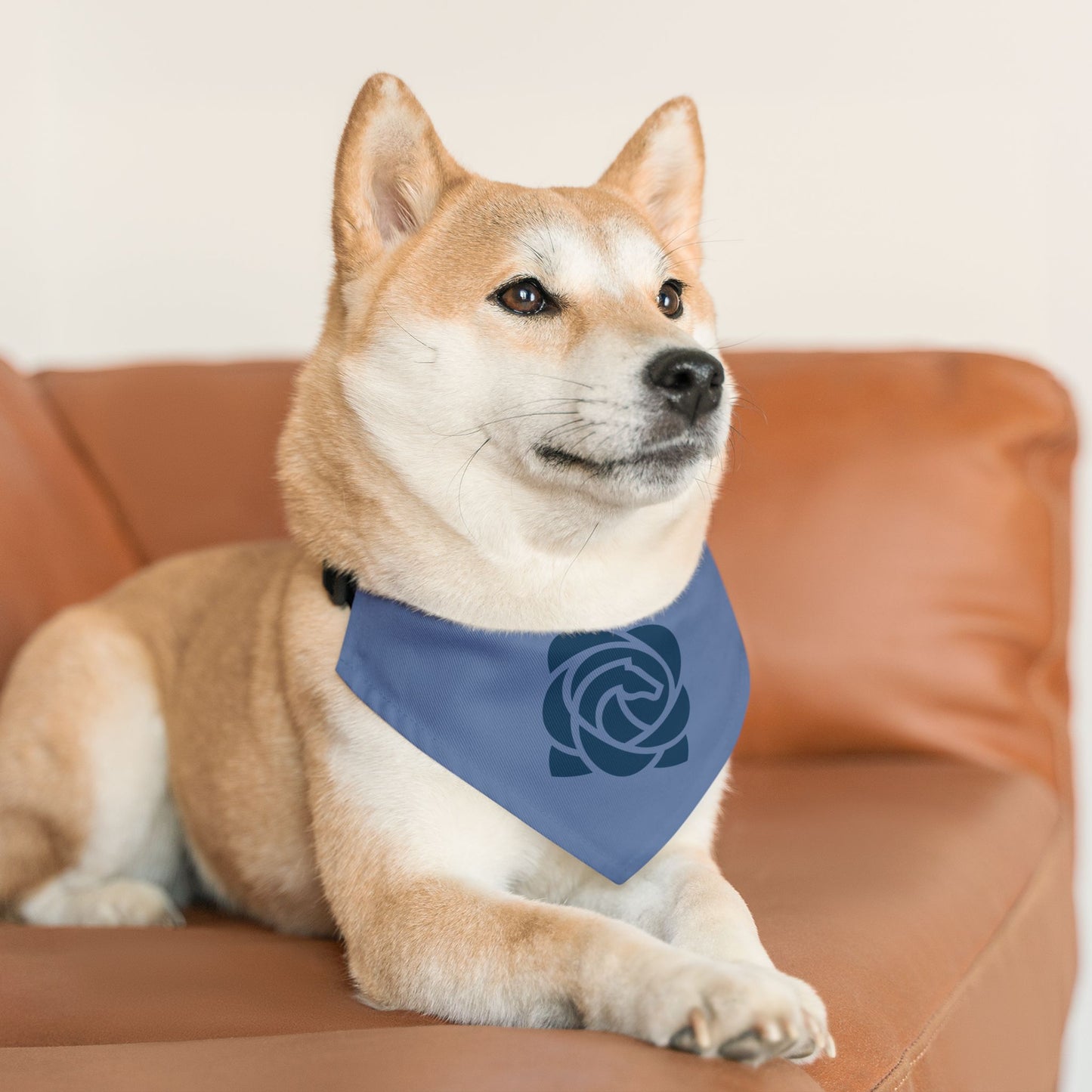 Dog Bandana with Collar