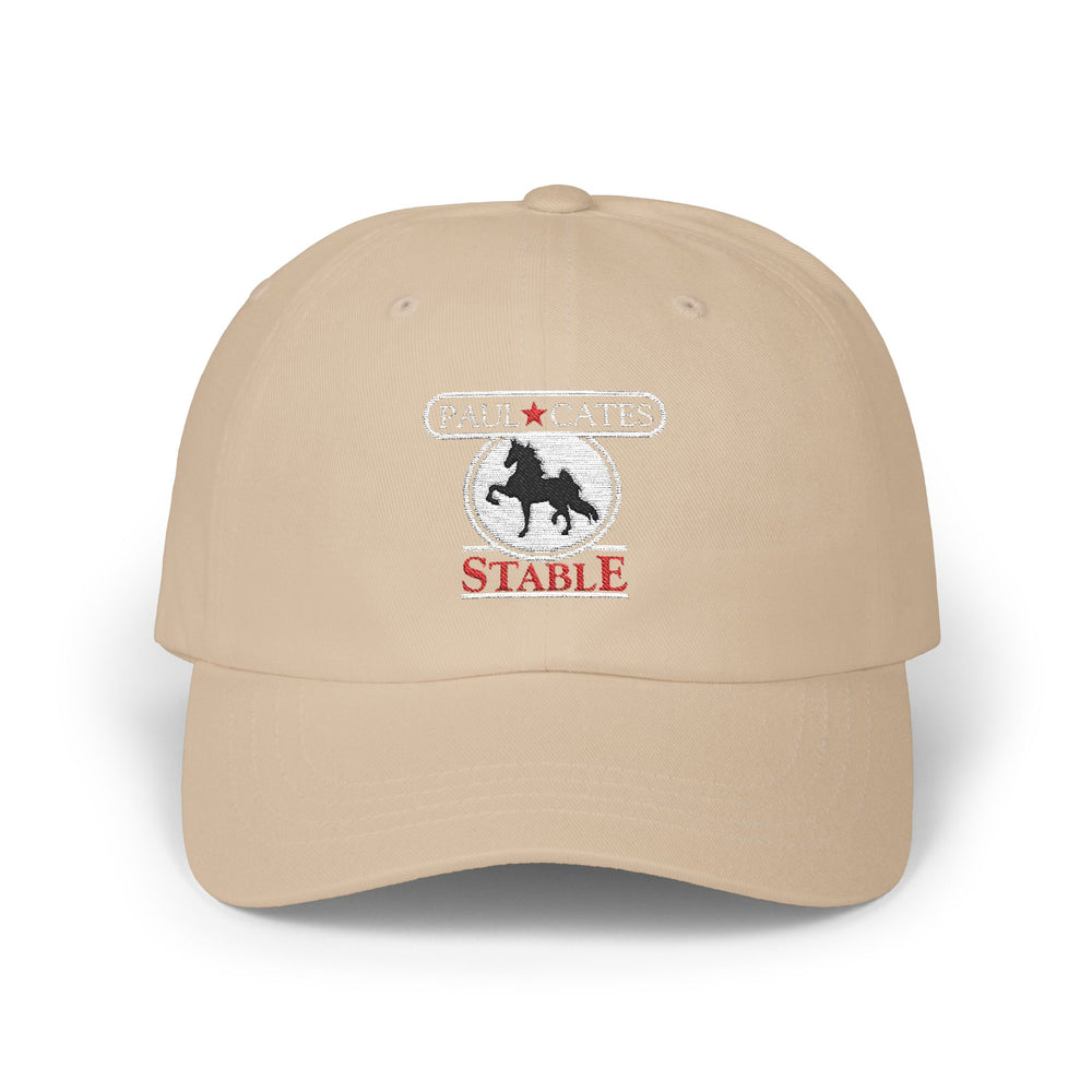
                  
                    Embroidered Premium Hat
                  
                