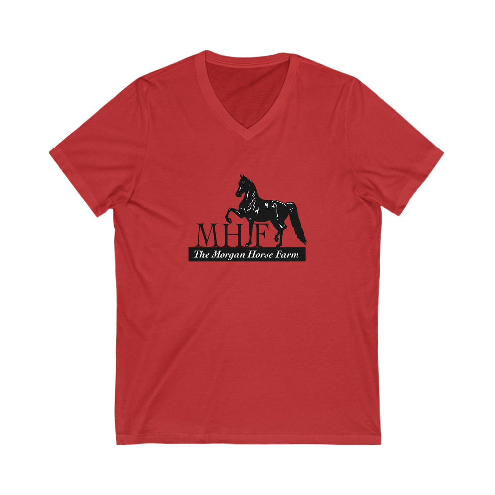 
                  
                    Premium Ladies V-Neck Tee
                  
                