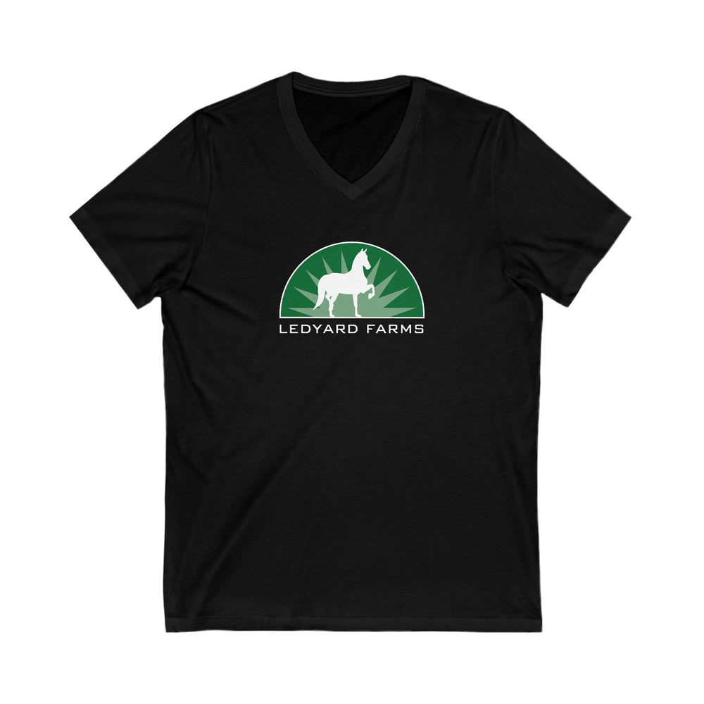 
                  
                    Premium Ladies V-Neck Tee
                  
                