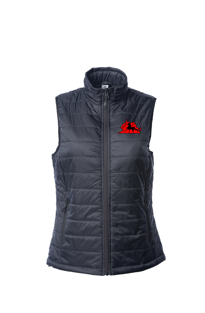 ASHAV Womens Puffer Vest