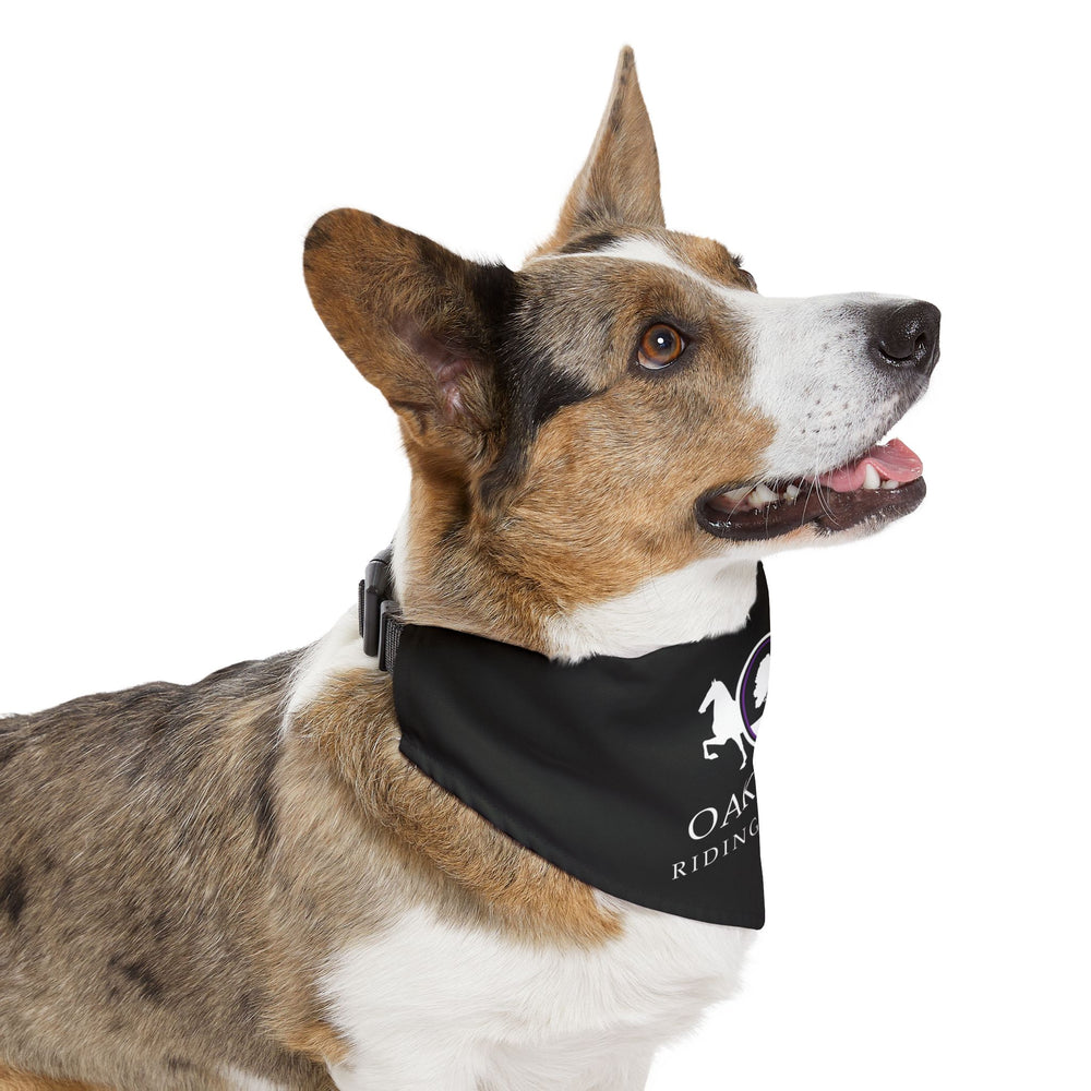 
                  
                    Dog Bandana with Collar
                  
                