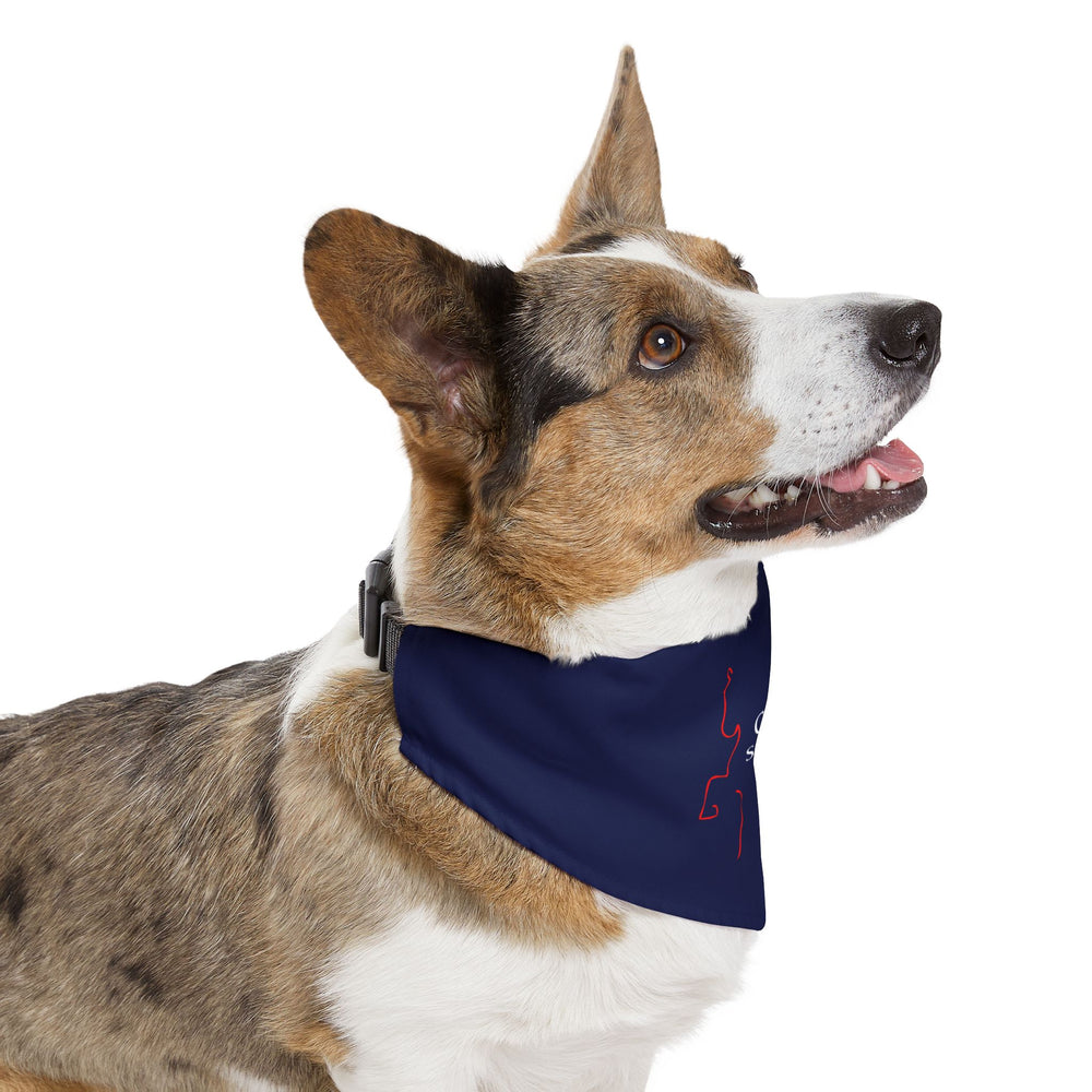 
                  
                    Dog Bandana with Collar
                  
                