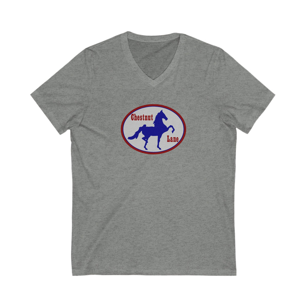 Premium Ladies V-Neck Tee
