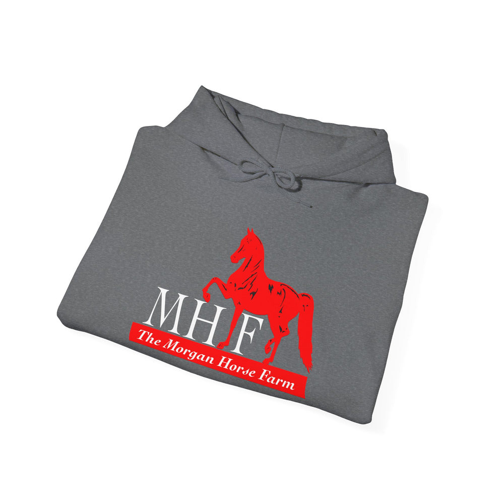 
                  
                    Unisex Heavy Blend™ Hoodie
                  
                