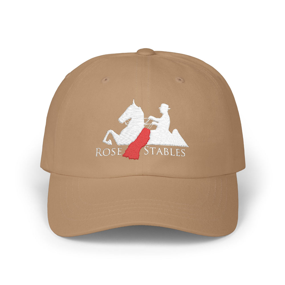 
                  
                    Embroidered Premium Hat
                  
                