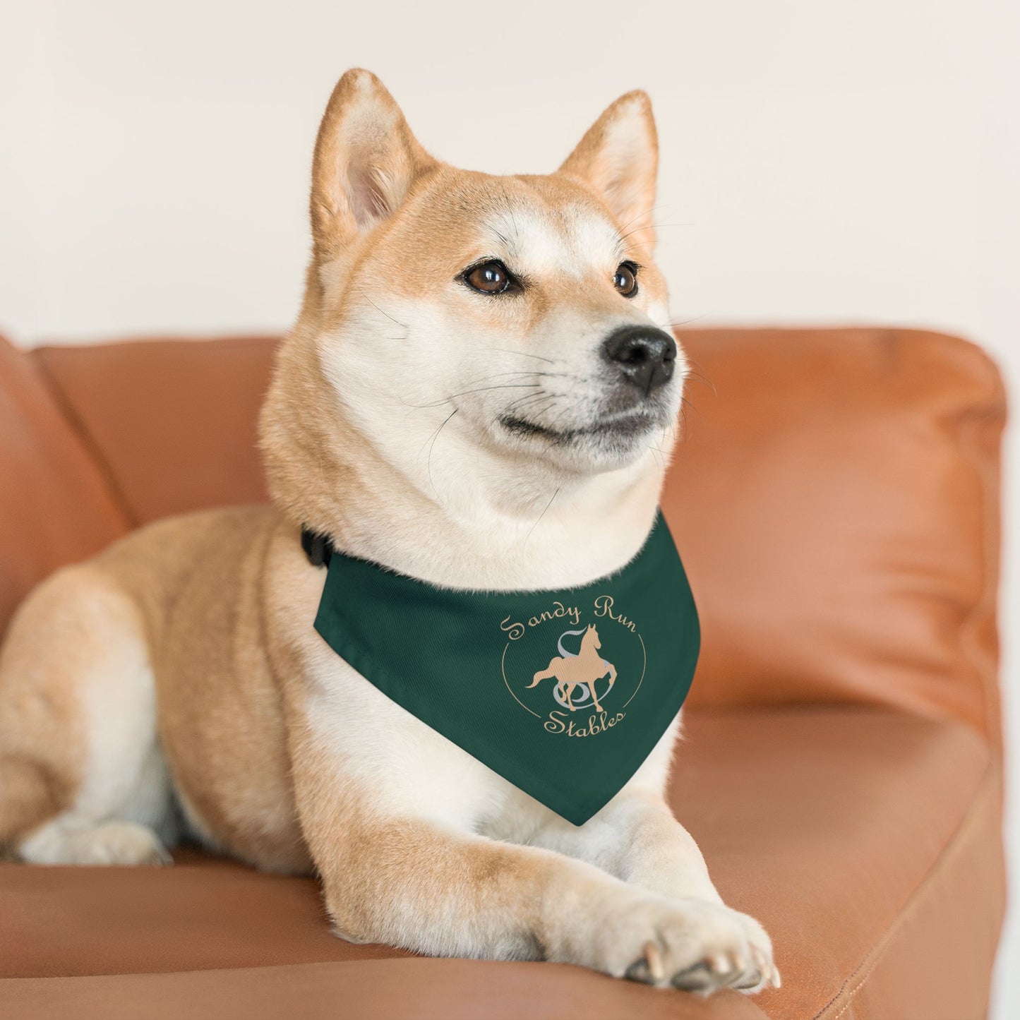 Dog Bandana with Collar