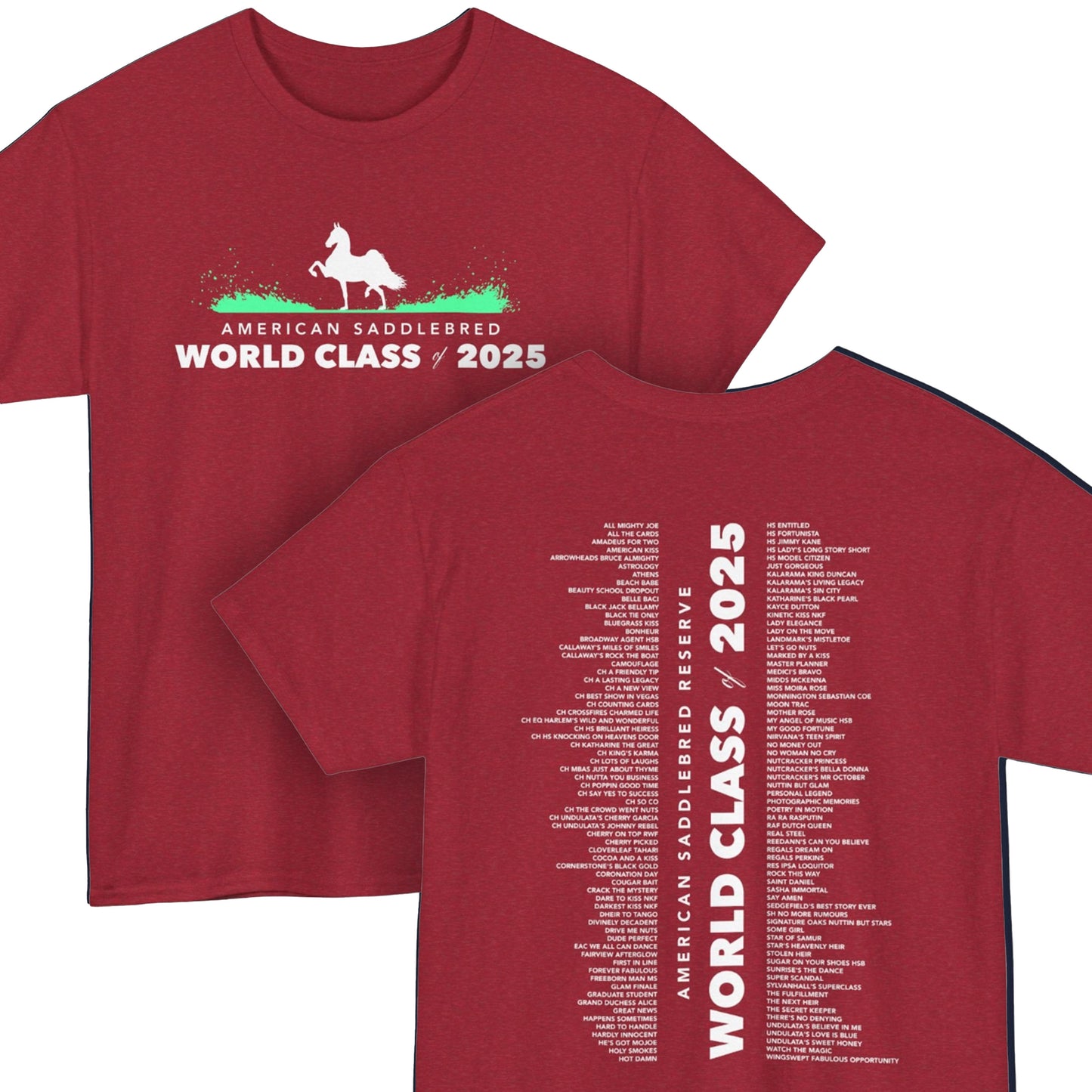 Saddlebred - Reserve World Champion Class of 2025
