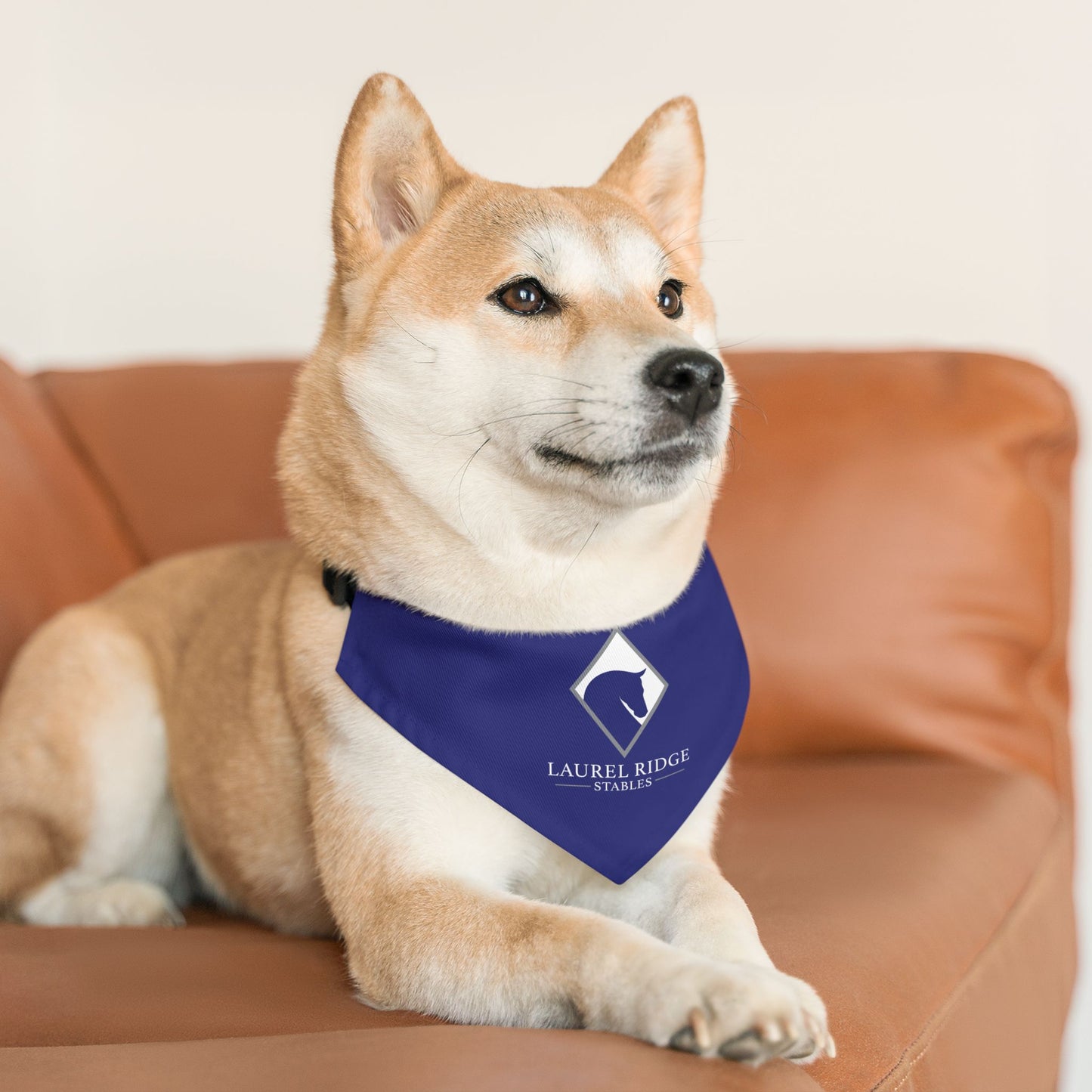 Dog Bandana with Collar