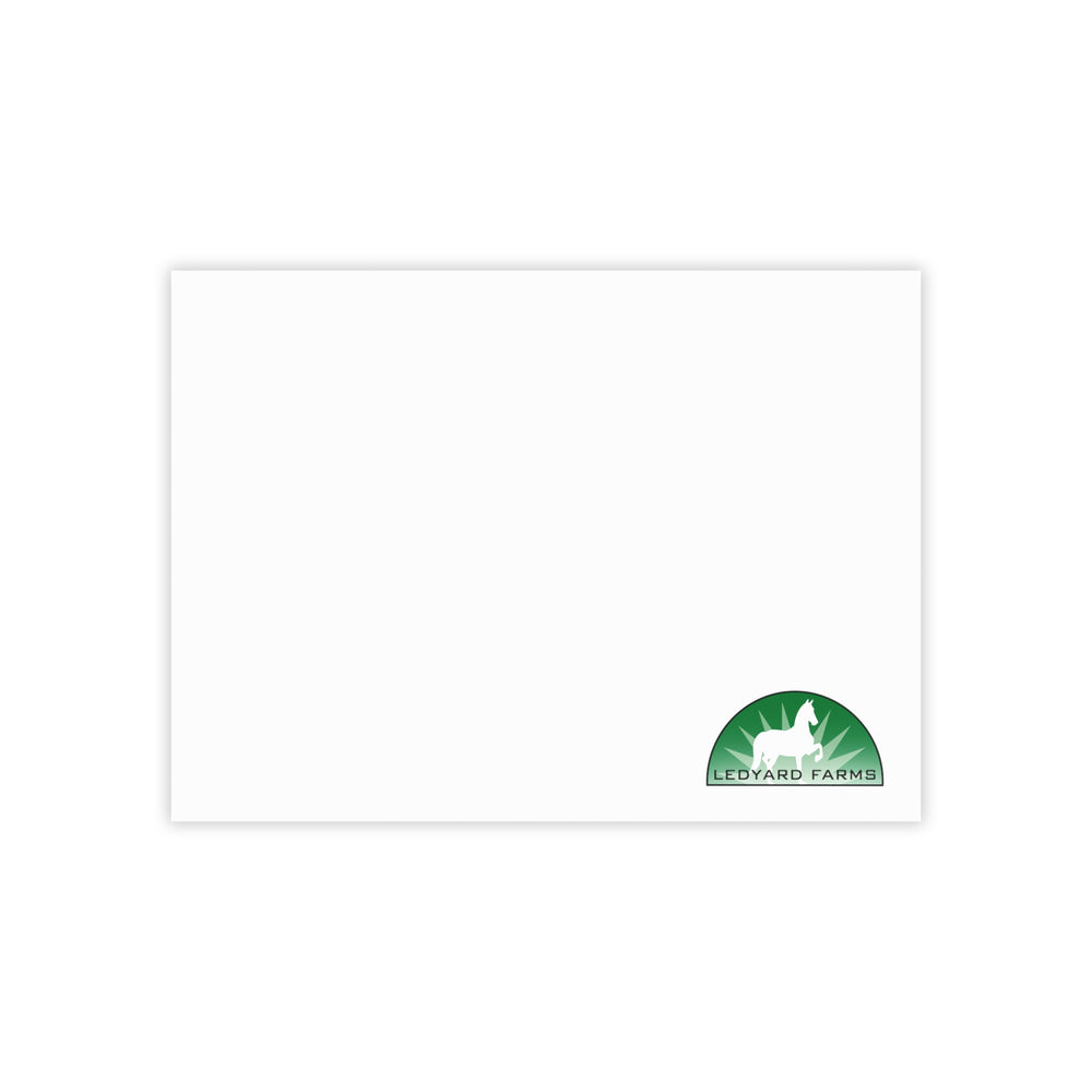 
                  
                    Post-it® Note Pads (4 sizes)
                  
                
