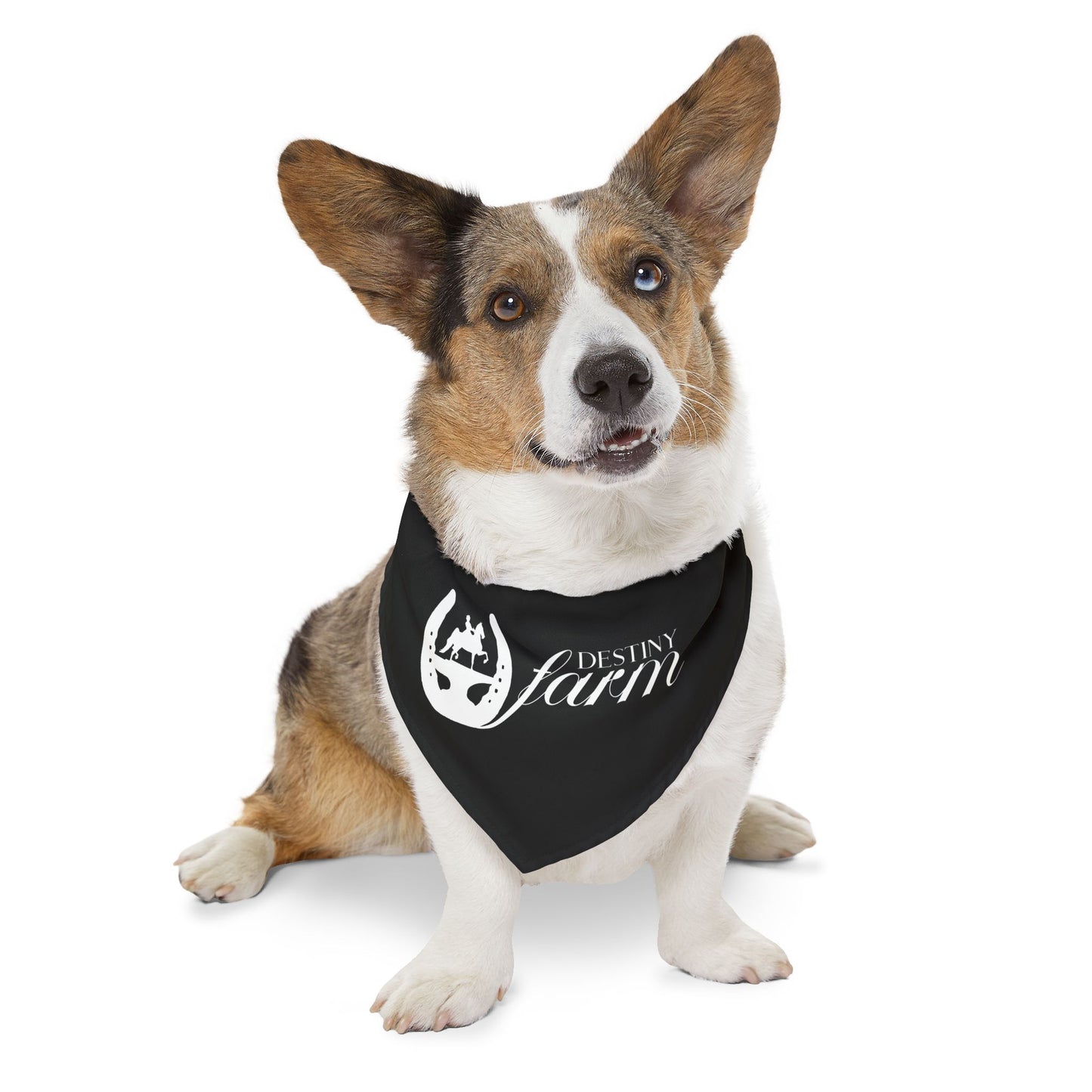 Dog Bandana with Collar