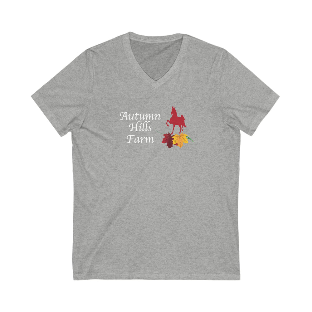 
                  
                    Premium Ladies V-Neck Tee
                  
                