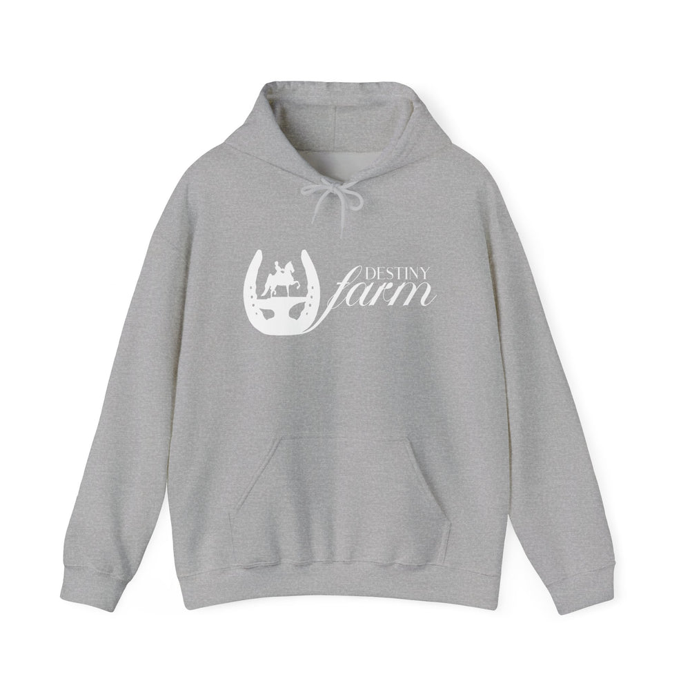 Unisex Heavy Blend™ Hoodie