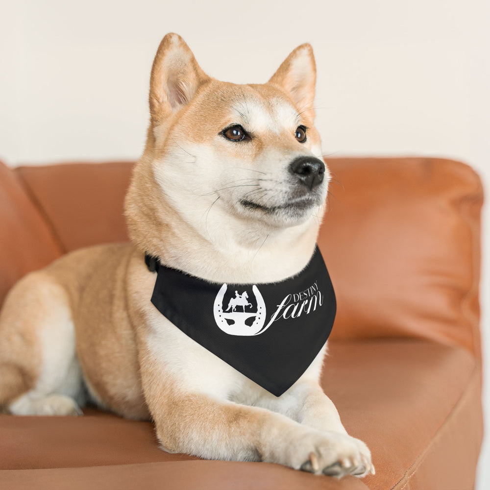 Dog Bandana with Collar