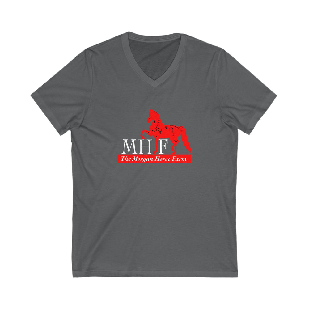 
                  
                    Premium Ladies V-Neck Tee
                  
                
