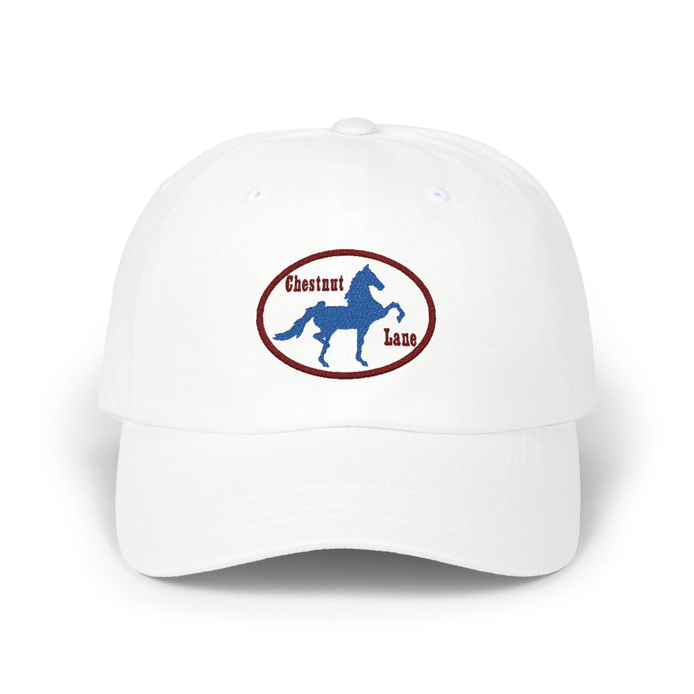 
                  
                    Embroidered Premium Hat
                  
                