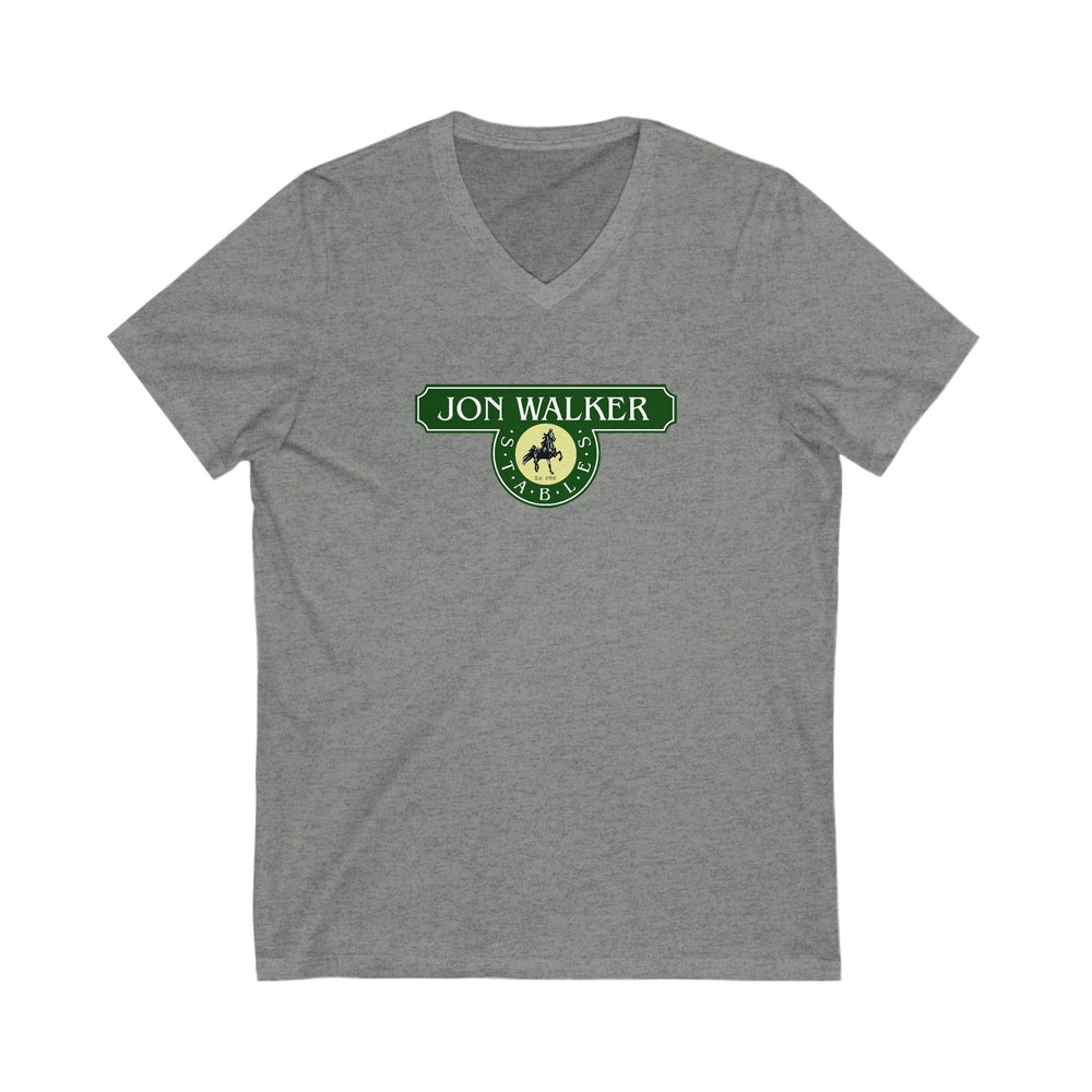 Premium Ladies V-Neck Tee