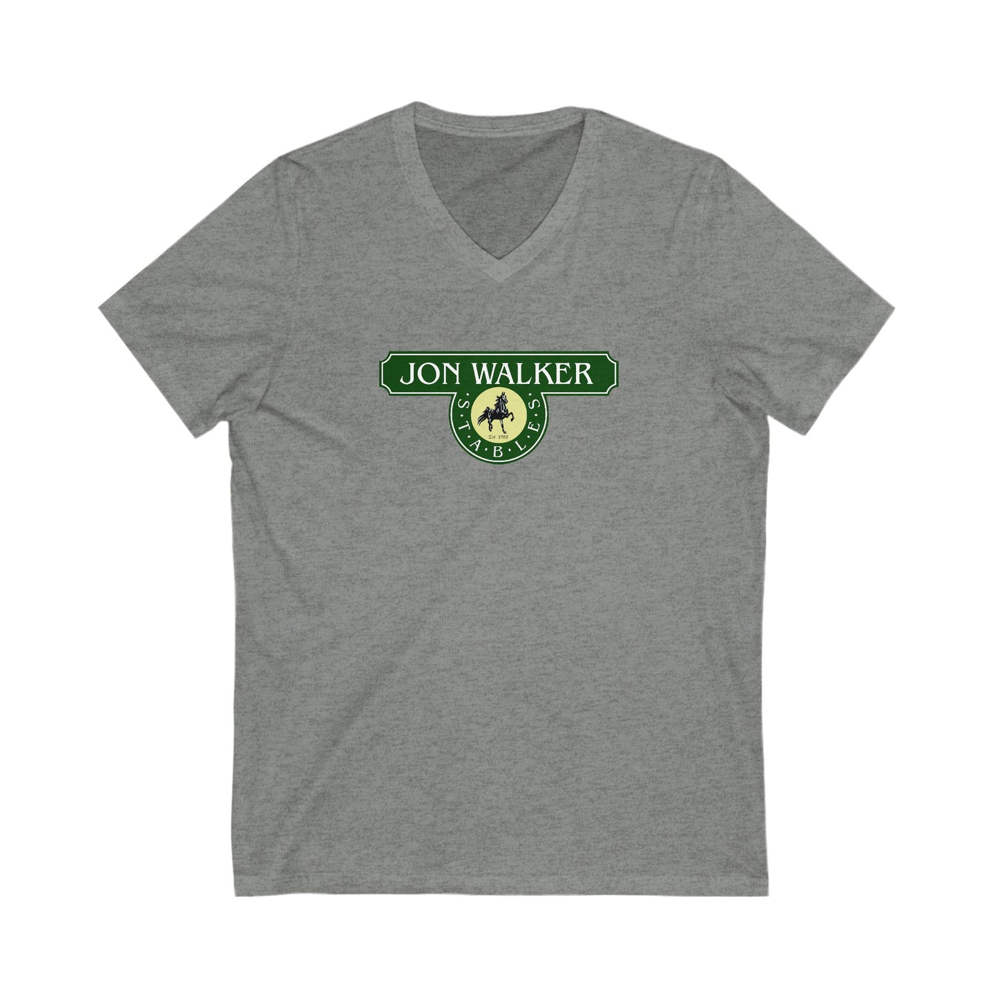Premium Ladies V-Neck Tee